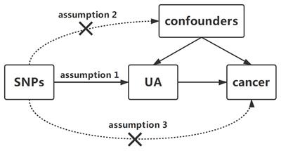 Serum Uric Acid Levels and Risk of Eight Site-Specific Cancers: A Mendelian Randomization Study